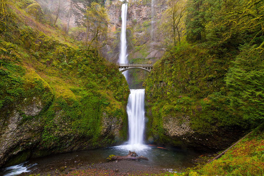 Multnomah Falls by Benson Bridge at Columbia River Gorge Oregon in Spring Season